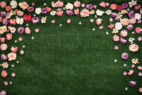 - All new flower/grass wall available for hire
- Perfect for weddings, birthdays and balls
- Hire with one of our booths or on its own
- Great for selfies with own phone or camera
- Contact us for a quote